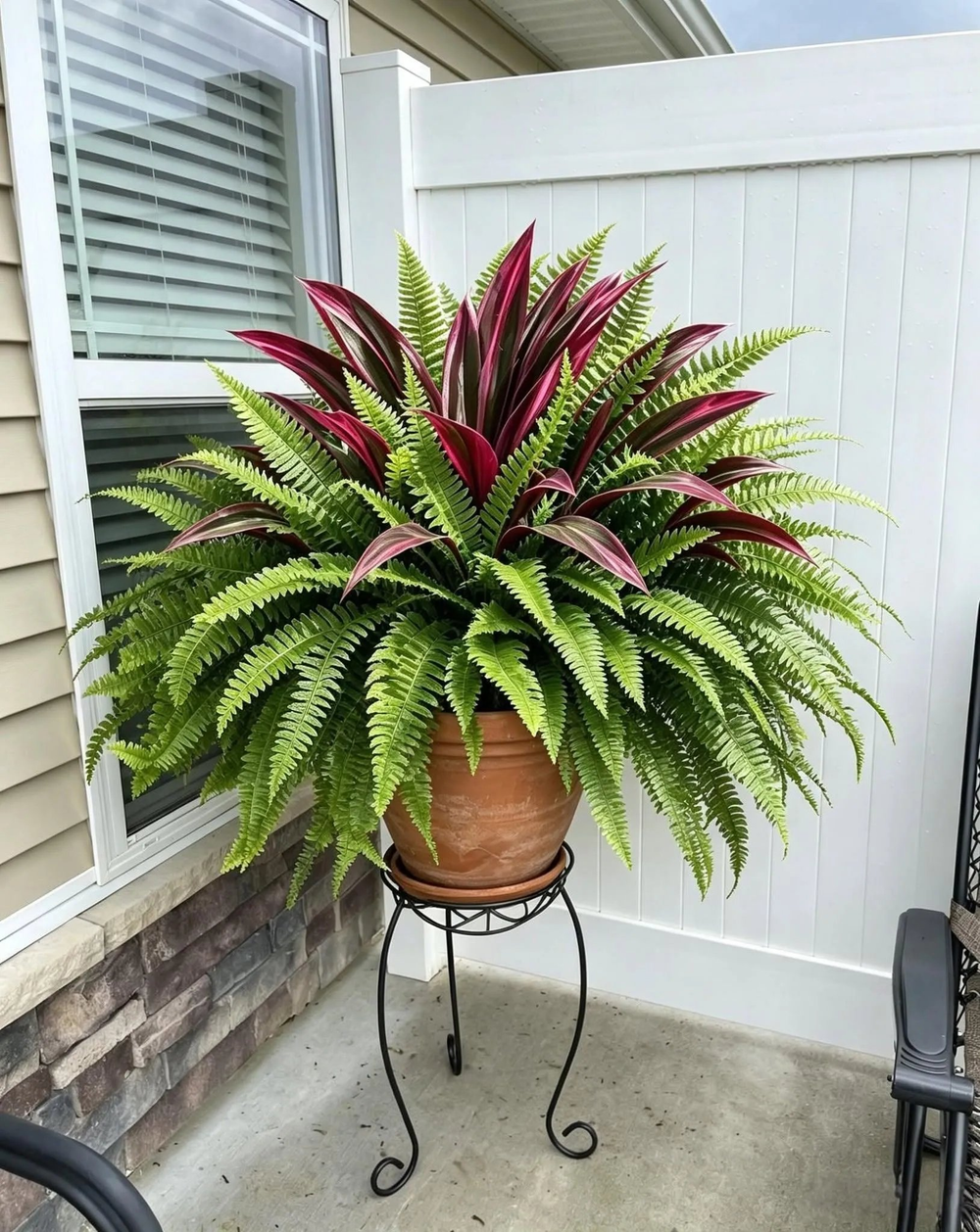 🔥LAST DAY SPECIAL 50% 🌿UV-Resistant Artificial Fern & Red Dracaena Decorative Plants – Full, Lush & Fade-Resistant!